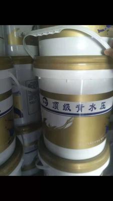 背水压堵漏材料